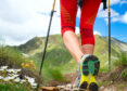 Akademia sportu - Nordic Walking