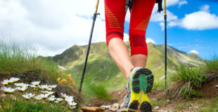 Akademia sportu - Nordic Walking
